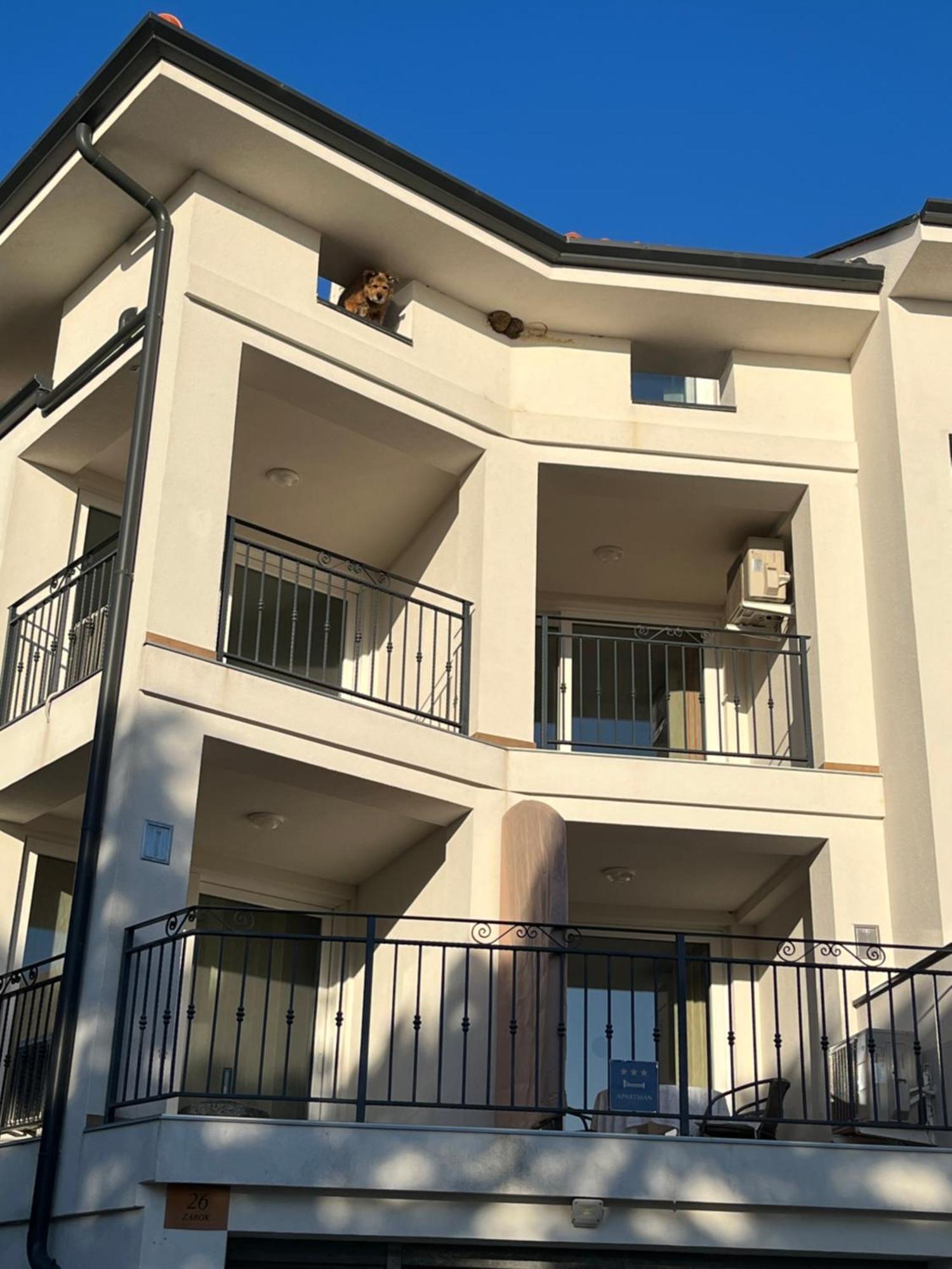 Apartments Amore Baška Exterior foto